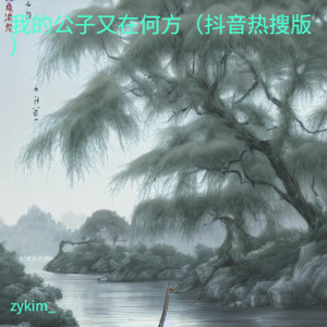 我的公子又在何方