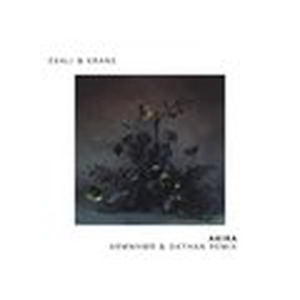 AKIRA (ARMNHMR & DATHAN Remix)