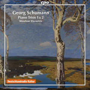 Piano Trio No. 2 in F Major, Op. 62 - IV. Allegro giocoso