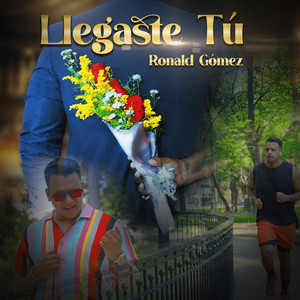 Llegaste Tu