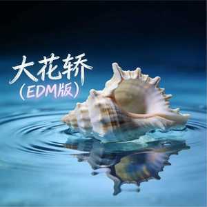 大花轿 (课桌舞超燃版)