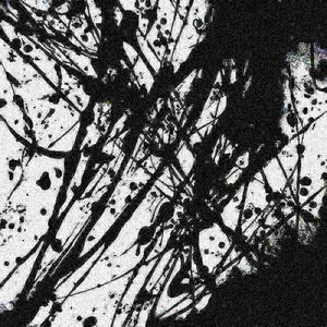 Astraldivinity X Contento - ID