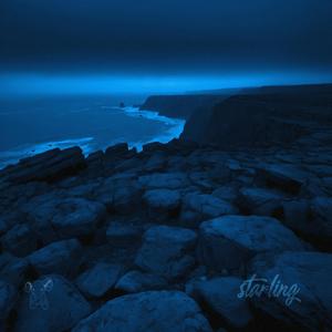 starling (Super Slowed + Rain)