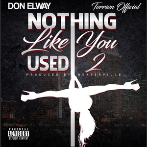 Nothing Like You Used 2 (feat. Torrion Official) [Explicit]