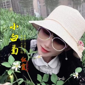 小白菊