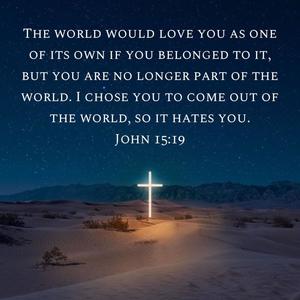 John 15:19