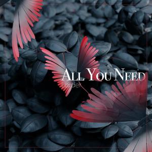 All You Need (Explicit)