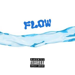 Flow (Explicit)