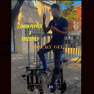 lemon freestyle (Explicit)