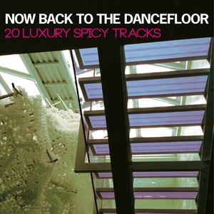 Now Back to the Dancefloor (20 Luxury Spicy Tracks)