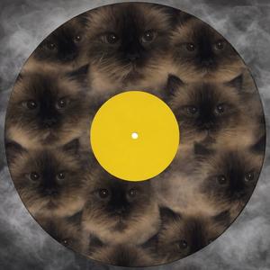 ALL THE LV3 (feat. Edac) (Explicit)