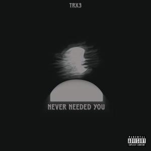 Never Needed You (Explicit)