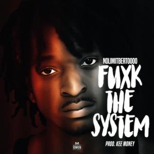 **** The System (Explicit)