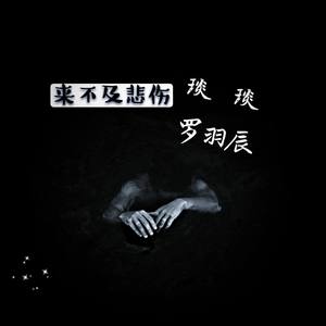 蜜柚恋