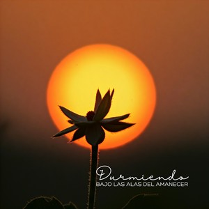 Naturaleza Armónica