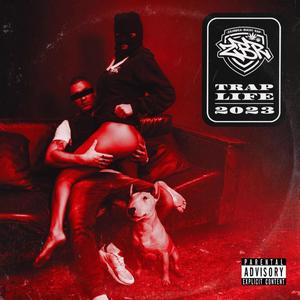 DRILL SAGA (feat. POLISH MIC) (Explicit)