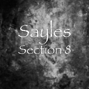 Section 8 (Explicit)