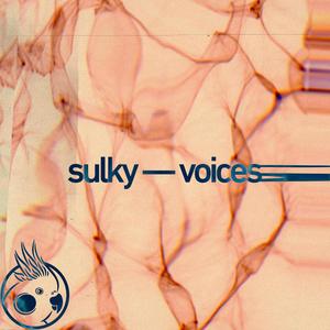 Voices (OPTML'S 'PYRMD' RMX)