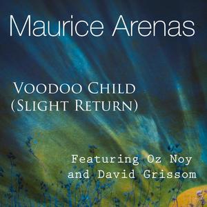 Voodoo Child(Slight Return)(feat. Oz Noy & David Grissom)