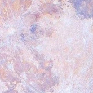 Something From The Diary