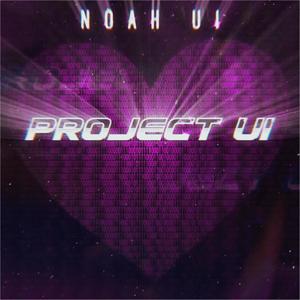 Project UI (Explicit)