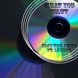 What You Want (feat. LUXRY) [Explicit]