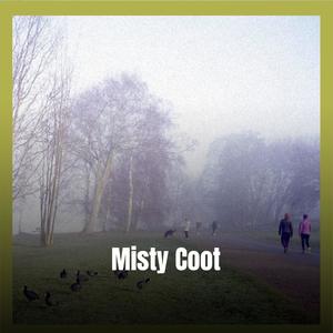 Misty Coot