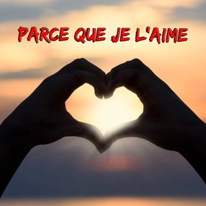 Parce que je l'aime