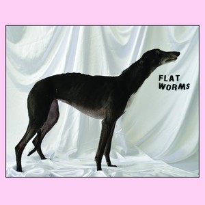 Flat Worms