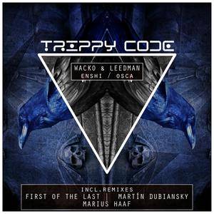 Enshi (Marius Haaf Remix)