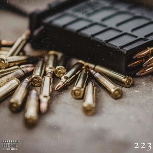 223 (Explicit)