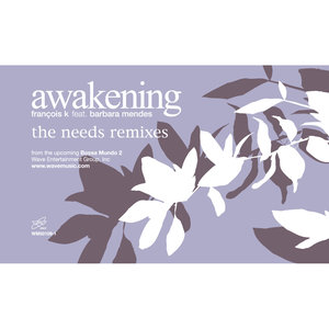 Awakening (feat. Barbara Mendes) [Needs Remixes]