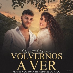 Volvernos a Ver