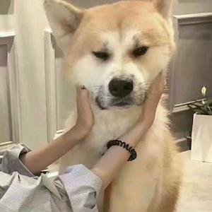 慵懒（pord.by Nanvo）