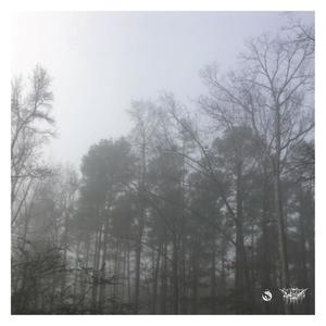 How to Avoid Falling Icicles