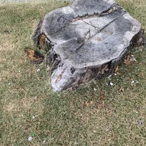 Punch Me In (Explicit)