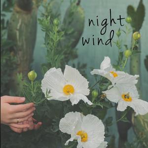 night wind