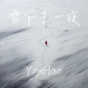 雪下了一夜封面