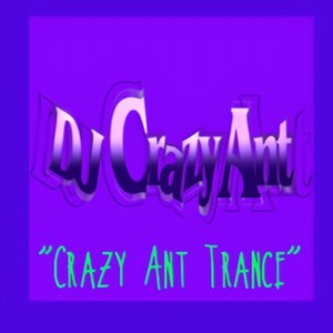 Crazy Ant Trance