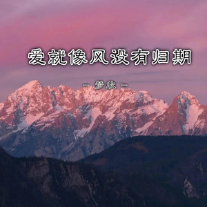 爱就像风没有归期