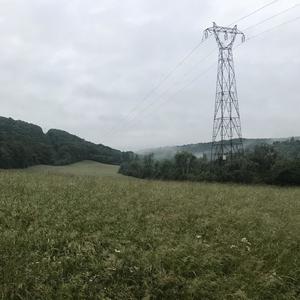 parallel six