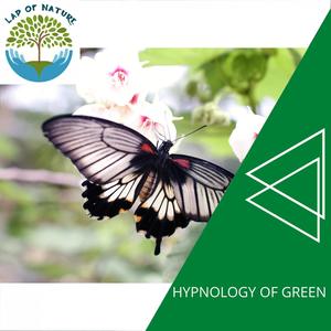 Hypnology of Green