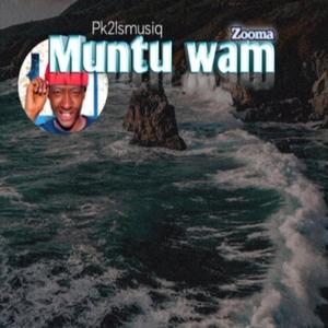 Muntu wam (feat. Zooma, N'jay Pta & DJ PE M)