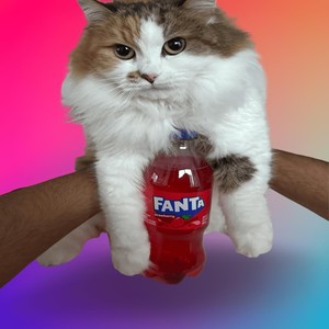 Strawberry Fanta (feat. Janani) (Explicit)