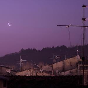 Night in the Countryside