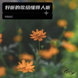 好听的歌给懂得人听