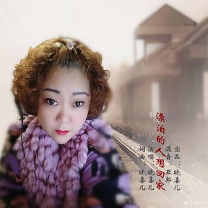 漂泊的人想回家