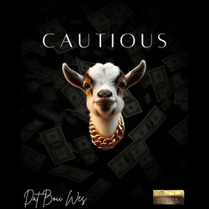 Cautious (Explicit)