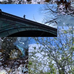 Error404.medicare.elimination