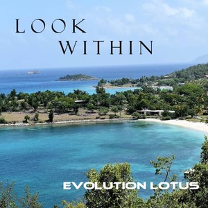 Look Within